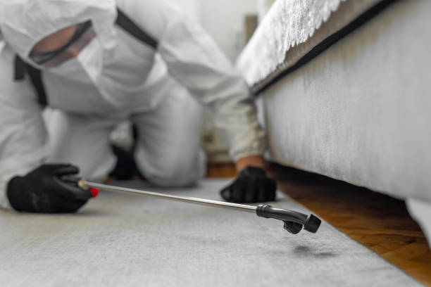 Professional Bed Bug Control technician working in Palm Desert, CA